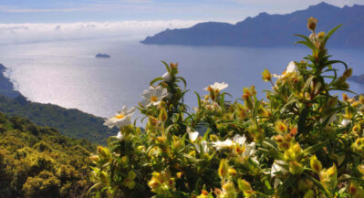 Rejs po Morzu Srodziemnym